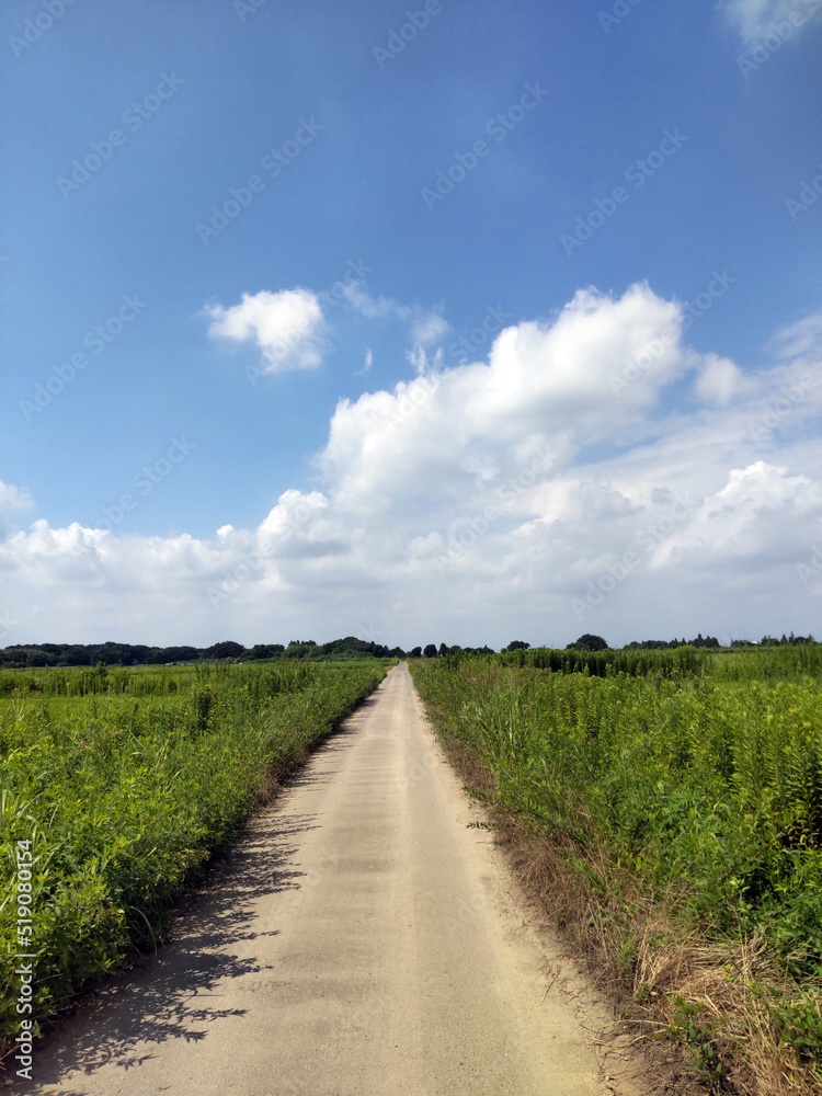 農道　country road