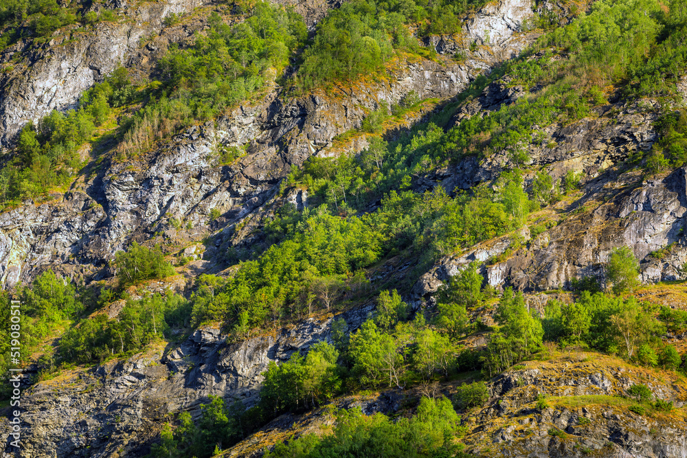 Norway mountains forest in summer, background with copyspace Norway mountains forest in summer, background with copyspace