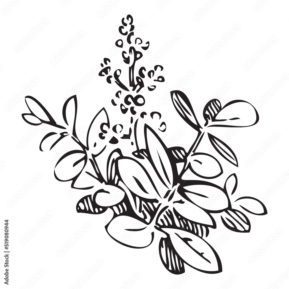 Obraz premium Hand drawn bush whith flowers, branches, leaves. Meadow plant engraving sketch garden. Isolated black lines on white background.Vector illustration, greeting card, logo, branding design, poster, print