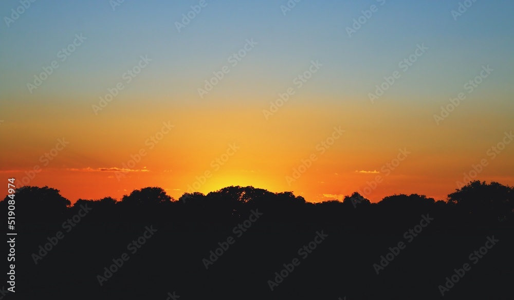 Silueta de las copas de encinas en el horizonte. Imagen tomada al atardecer con los últimos rayos del sol generando un cielo anaranjado mientras se pone sobre un bosque. Madrid, España.