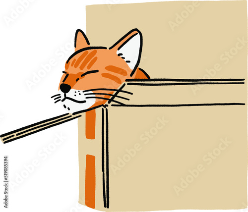 Ginger Cat sleeping in paper box Stray cat Animal in action Hand drawn color illustration