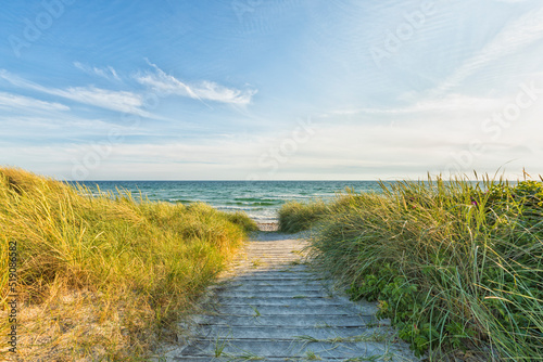 Fototapeta Naklejka Na Ścianę i Meble -  Wooden path to the Baltic Sea beach near Ristinge, Langeland, Denmark