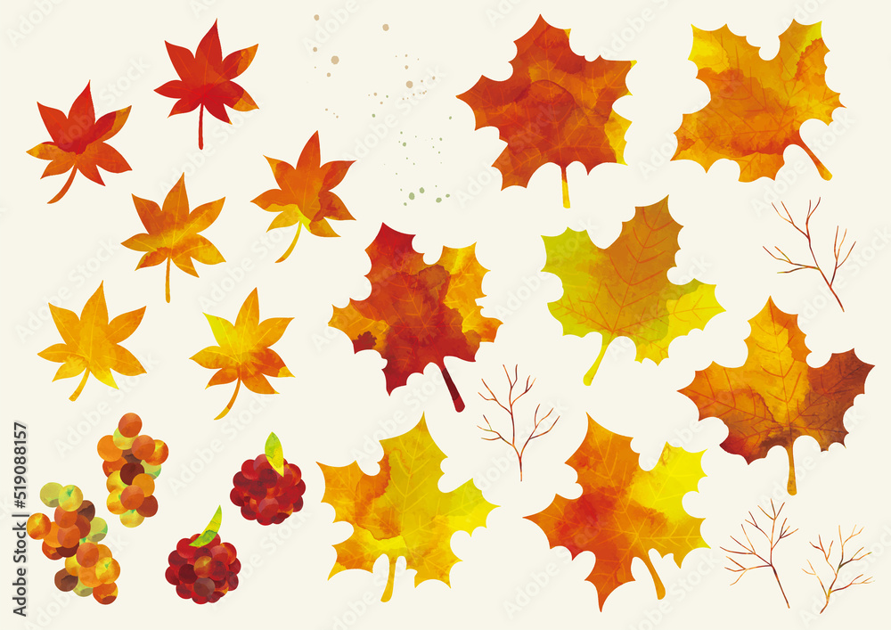 Fototapeta premium 紅葉 リーフ 秋 水彩素材セット 