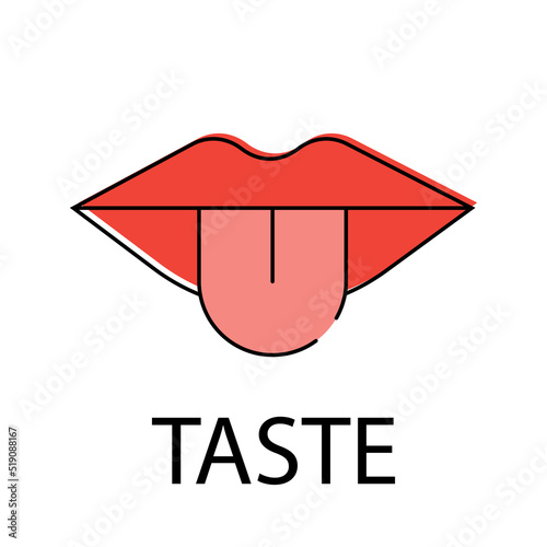 Organs of human anatomy taste. Human organs. The taste of the tongue. Environmental perception cartoon vector illustration.