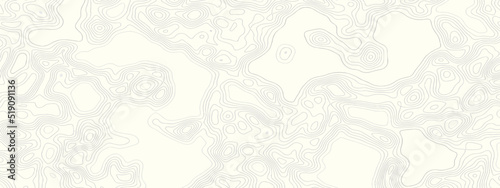 The stylized height of the topographic contour in lines and contours. White wave paper curved reliefs abstract background