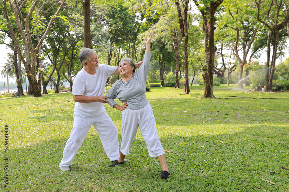 Asian senior couple practice yoga excercise, tai chi tranining, stretching and meditation together with relaxation for healthy in park outdoor after retirement. Happy elderly outdoor lifestyle concept