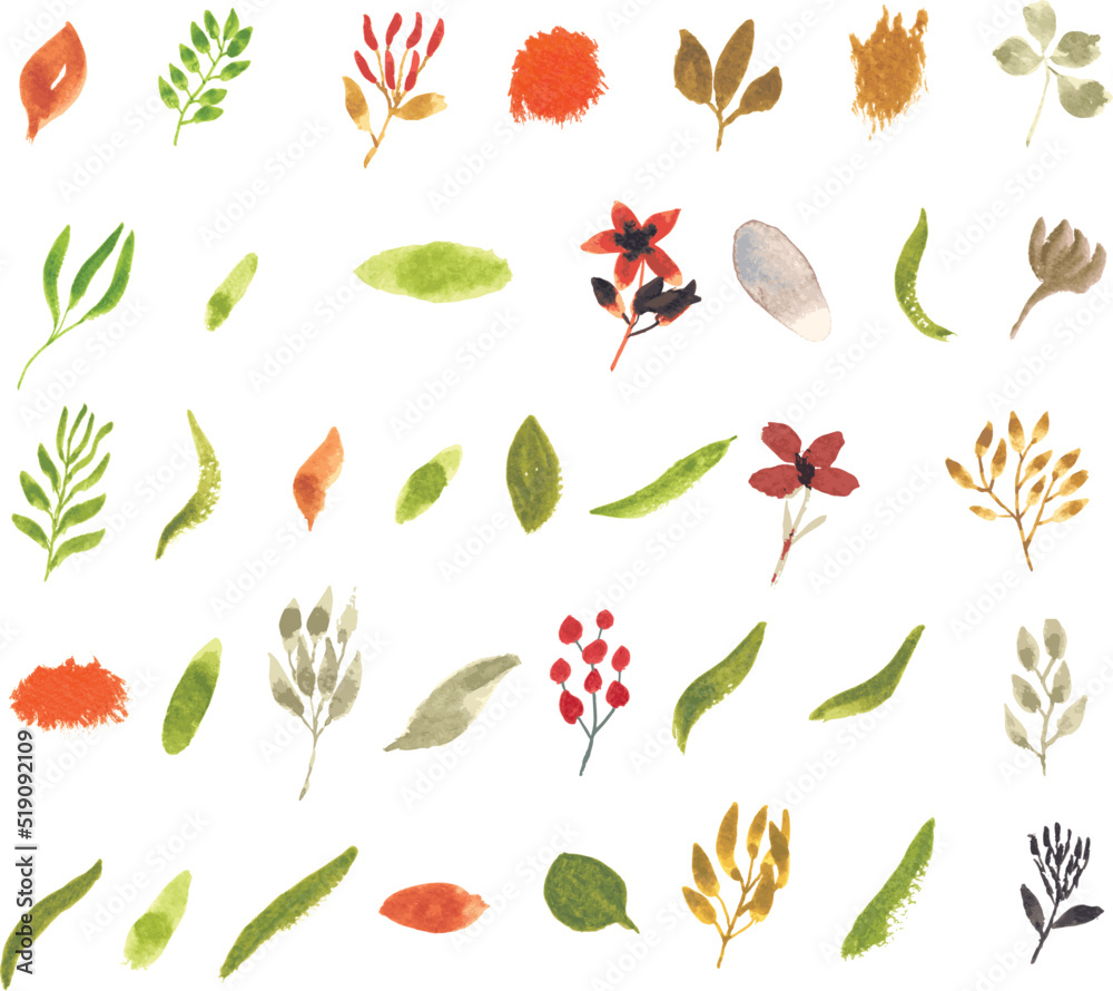 Set watercolor elements of floral and leaves; collection garden flowers; leaves; branches. Botanic; illustration, eucalyptus; Wedding floral design