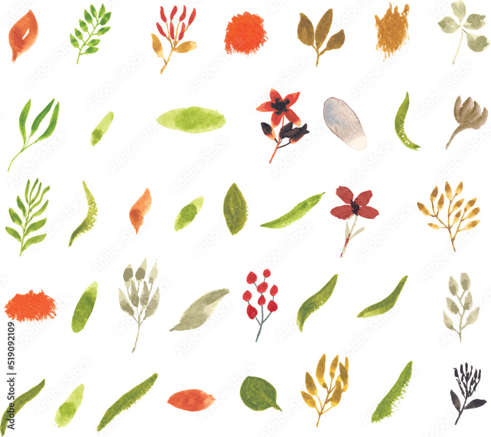 Obraz premium Set watercolor elements of floral and leaves; collection garden flowers; leaves; branches. Botanic; illustration, eucalyptus; Wedding floral design