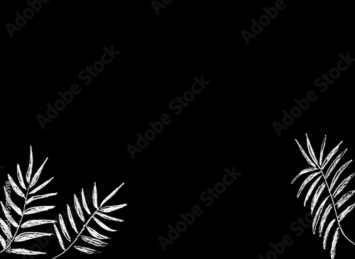 Three white twigs on a black background