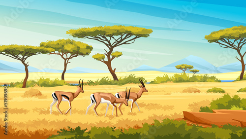 African savannah landscape with wild roe young deers, nature of Africa, cartoon background. Vector green trees, rocks and plain grassland field under blue clear sky. Kenya panoramic view © Sensvector