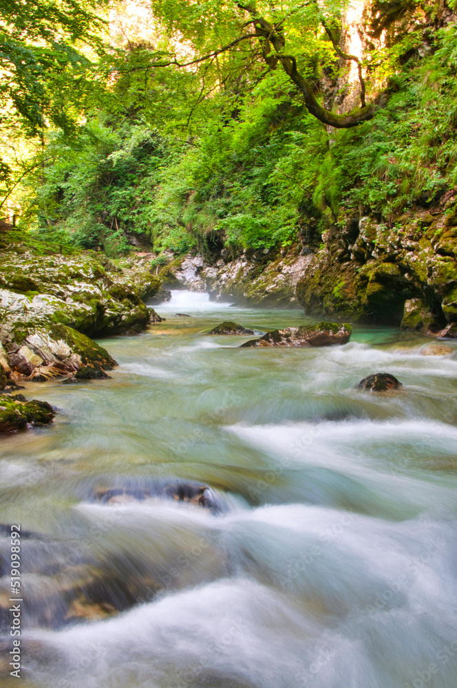 Vintgar Gorge, Slovenia Vintgar Gorge, Slovenia