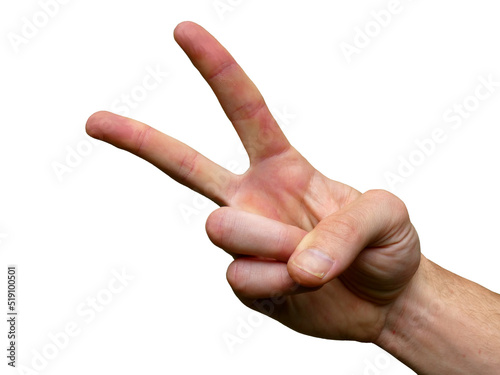V Sign Hand (Two)