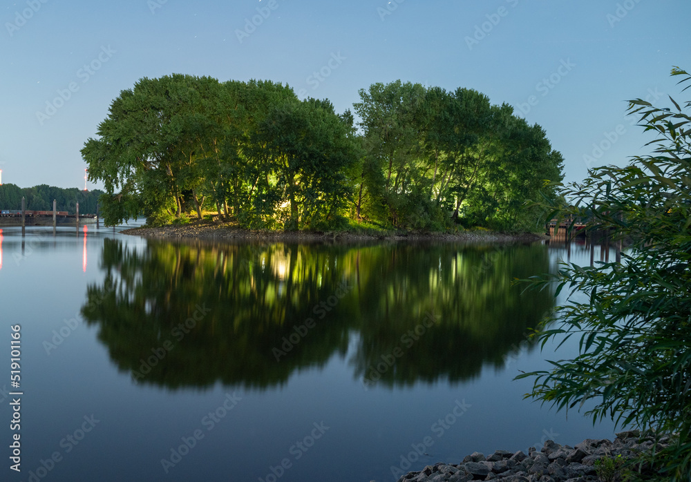 reflection of trees in the lake (lighter)