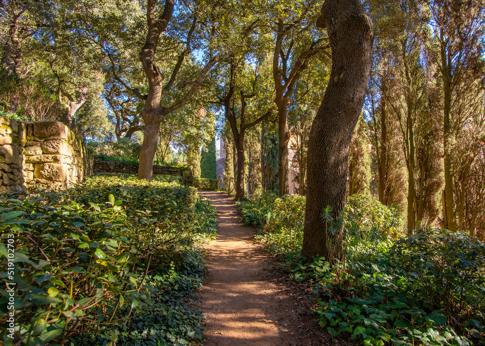 A footpath going through an live oak woodland A footpath going through an live oak woodland