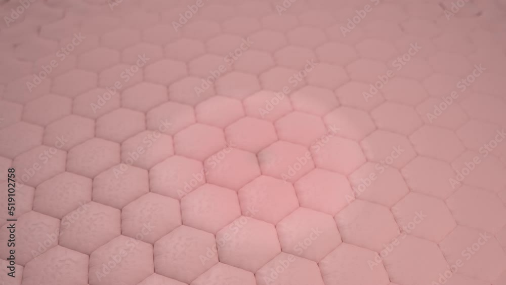 Animation Serum through the skin layer for repair wrinkles and dark skin tone changed to bright. Collagen Booster Skin Firming Collagen. Skin repair Concept. 3d rendering
