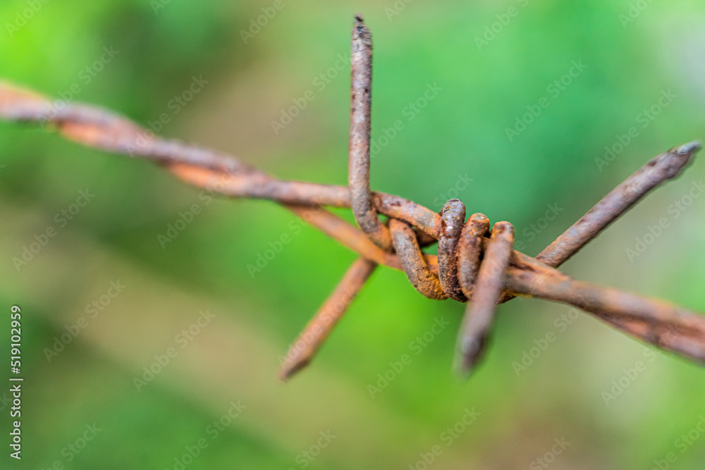 Barbed wire fence close up with green plant background Barbed wire fence close up with green plant background