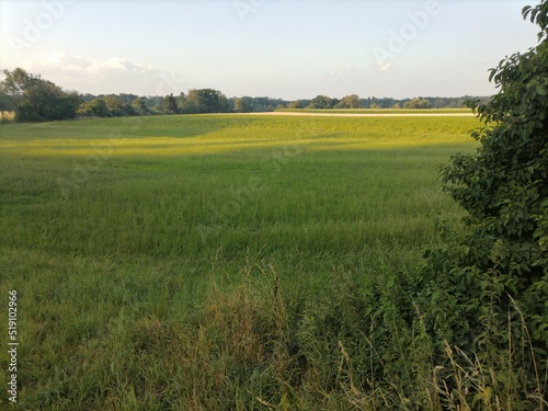 field and sky