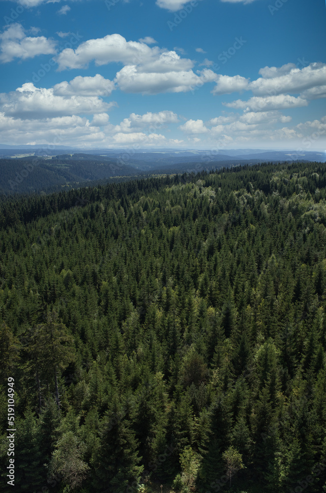 Blick über den Thüringer Wald in Deutschland