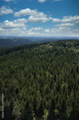 Blick über den Thüringer Wald in Deutschland