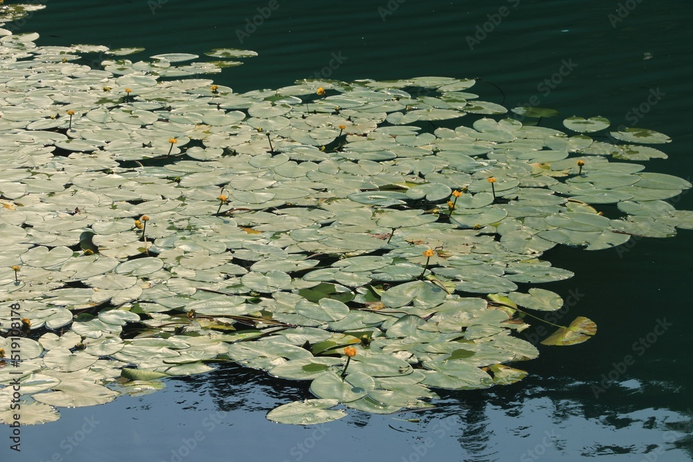 Terlago lake near Trento in Northern Italy Terlago lake near Trento in Northern Italy