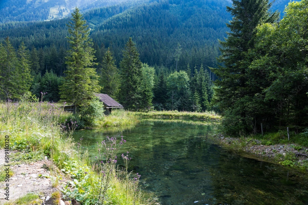 Obraz premium enjoy nature in the Sölktal in Styria