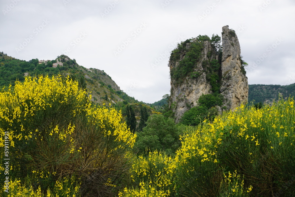 landscape with sky, rock face and yellow broom in full bloom in france