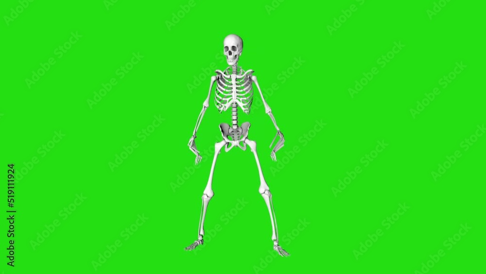 Skeleton zombie looks around. Creepy skeleton with long fingers. Halloween video. 3D animation on a green screen. Skeleton zombie looks around. Creepy skeleton with long fingers. Halloween video. 3D animation on a green screen.