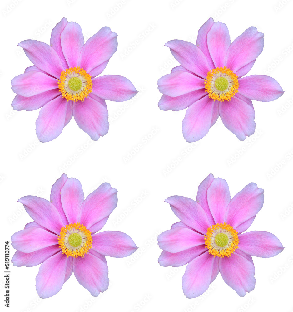 Abstract floral design Abstract floral design