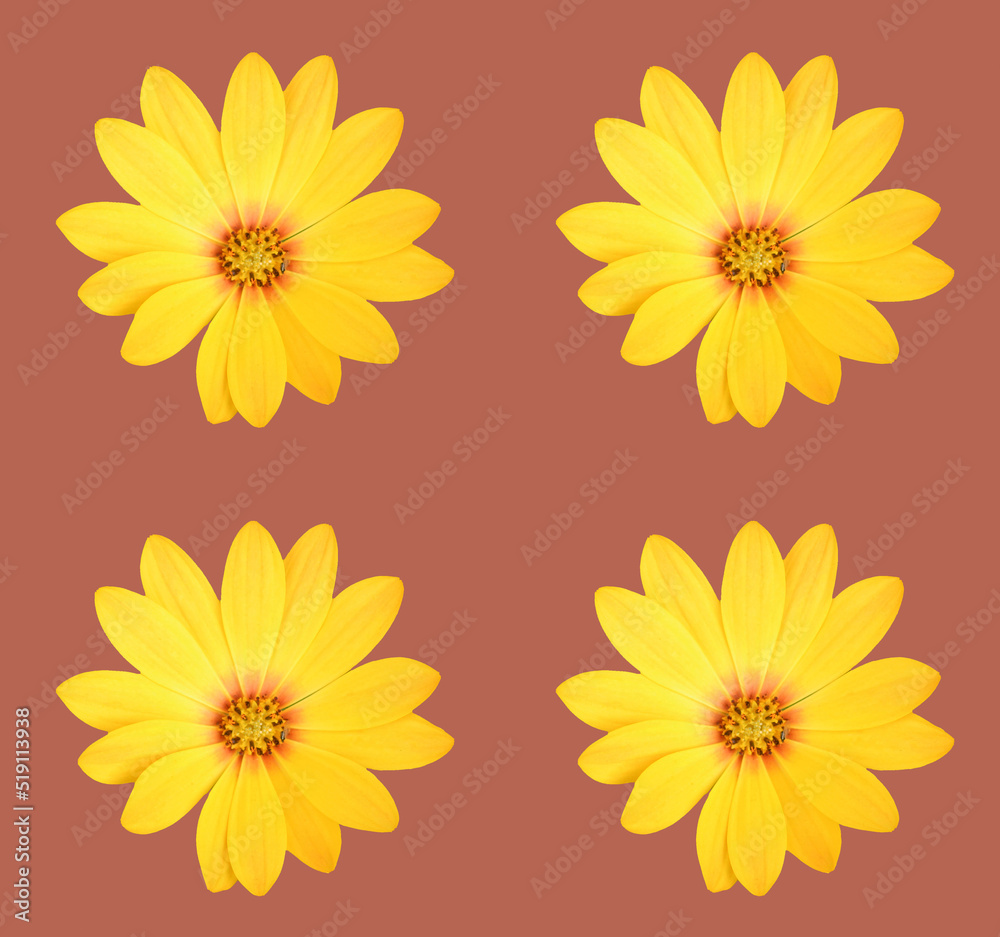 Abstract floral design Abstract floral design