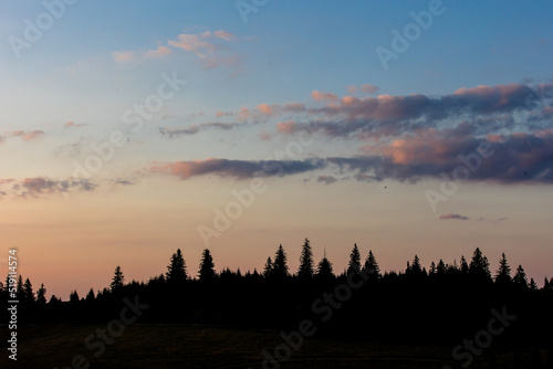 Fototapeta Naklejka Na Ścianę i Meble -  Beautiful sunset landscape with mountains and trees