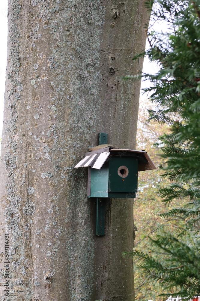 Selbstgebautes Vogelhäuschen an einem Baumstamm