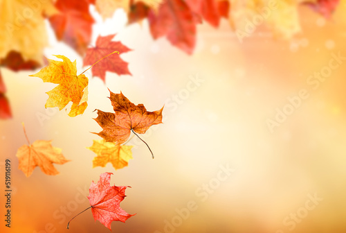 falling leaves on defocused autumn background