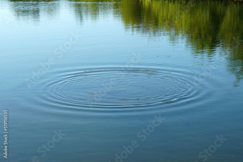 Blue lake water surface with circular concentrical ripples made by fish, and green trees reflection in the water in summer