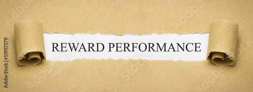 Reward Performance