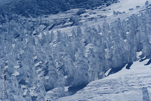 蔵王国定公園の樹氷。山形、日本。１月下旬。 
