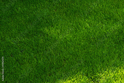 grass not mowed, pitch