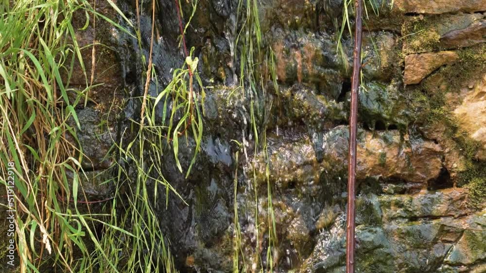 Spring water flows and splashes over wet stones with greenery in slow motion close-up Spring water flows and splashes over wet stones with greenery in slow motion close-up