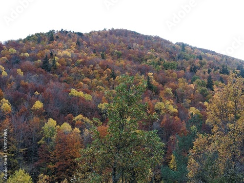 El otoño entre las montañas de Huesca, cerca de Ordesa. España.