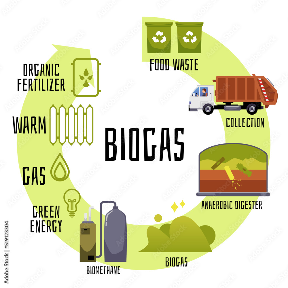 Biogas production and distribution cycle, flat vector illustration