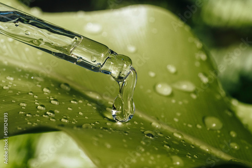 Pipette with essential liquid serum or oil on a green leaves background with water drops.