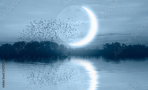 Silhouette of birds flying above the lake with crescent moon at amazing sunset © muratart