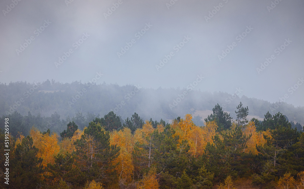 Landscape of Mountains forest after Sunset in Autumn or Fall. Fantastic sunset in the mountains landscape with sunny beams and clouds