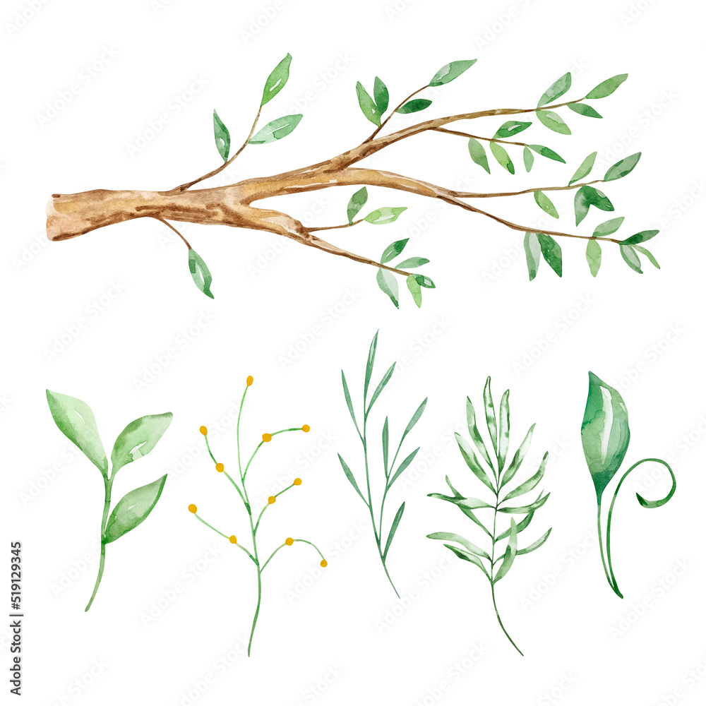 Watercolor honey set, tree branch, leaves and branches Watercolor honey set, tree branch, leaves and branches