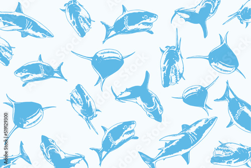 Graphical design with blue sharks, vector color illustration for backgrounds,patterns , covers. Typography design with great white sharks