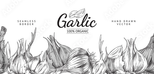 Garlic seamless border or frame, hand drawn sketch vector illustration isolated.