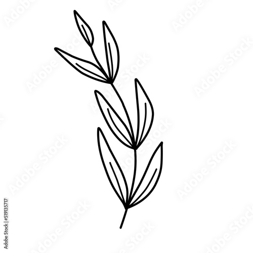 Plant lineart