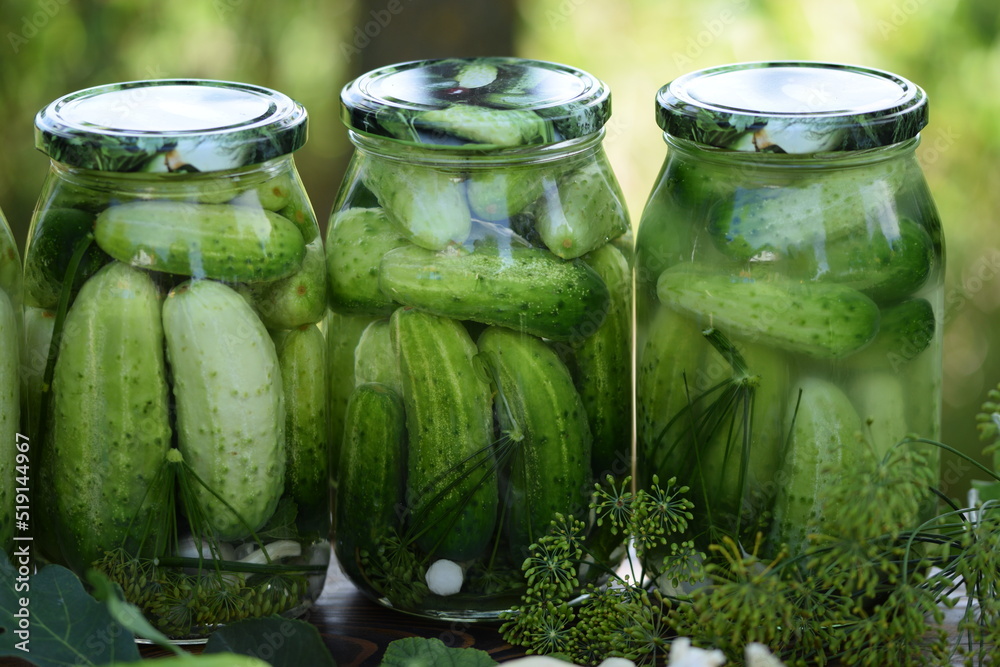 Jars of pickled cucumbers, fermented cucumbers, pickles, dill, garlic, horseradish and herbs. Jars of pickled cucumbers, fermented cucumbers, pickles, dill, garlic, horseradish and herbs.