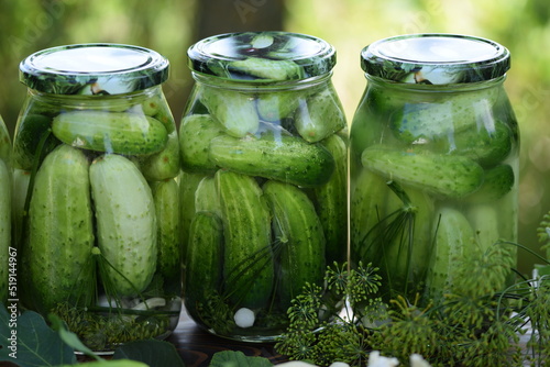 Fototapeta Jars of pickled cucumbers, fermented cucumbers, pickles, dill, garlic, horseradish and herbs