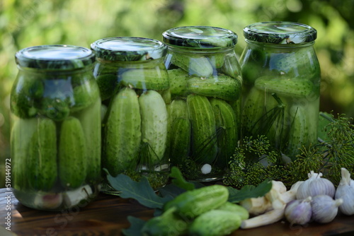Jars of pickled cucumbers, fermented cucumbers, pickles, dill, garlic, horseradish and herbs.
