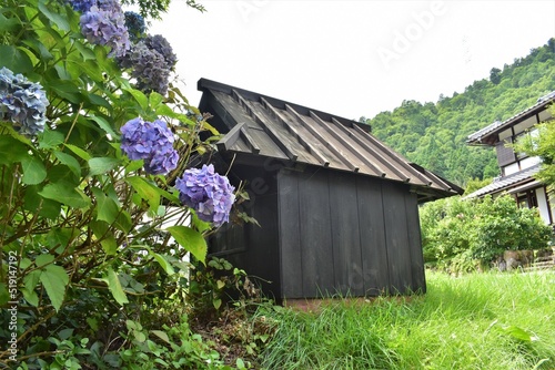 日本の田舎、原風景、夏、美山、かやぶき、美山かやぶきの里、石垣、古民家、しっくい、日本家屋、歴史的建造物、木造建築、紫陽花